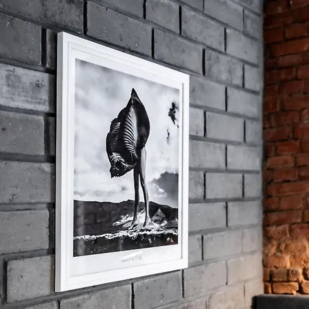 Rentplanet - Strzalowa * Poznań